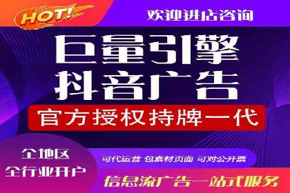 某电商平台的SEM推广策略及效果分析