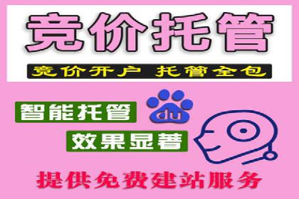 充值返点案例分析：实战操作技巧